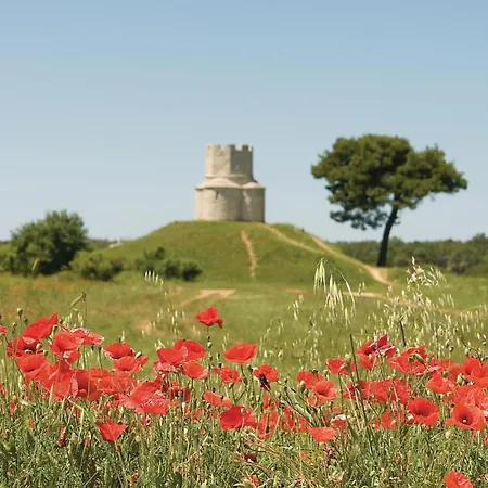 Daire Gorgeous In With Wifi Nin