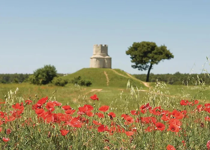 Apartamento Gorgeous In With Wifi Nin